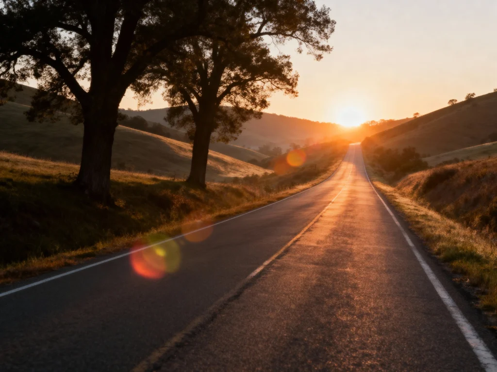 2025, une année record tournée vers l’avenir pour RP France