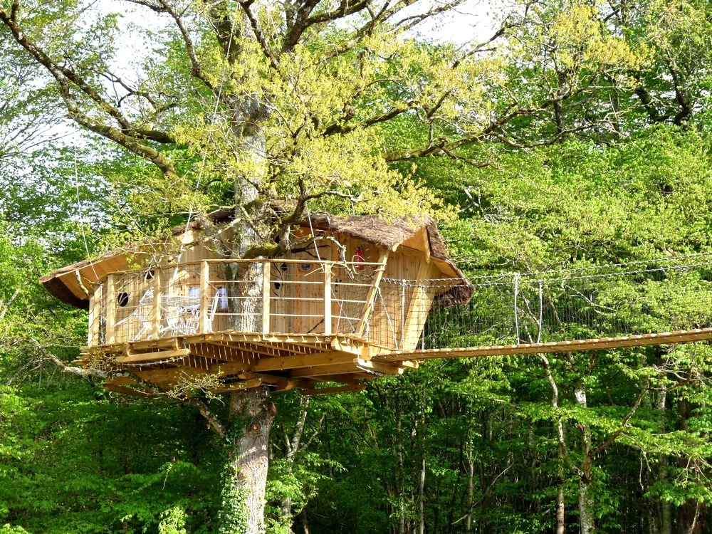 Cabane dans les arbres - Séminaire animateurs des ventes RP France à Defiplanet'